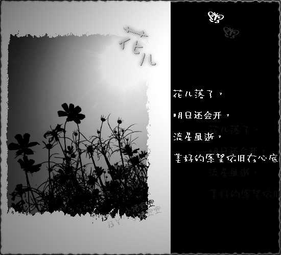 4.gif