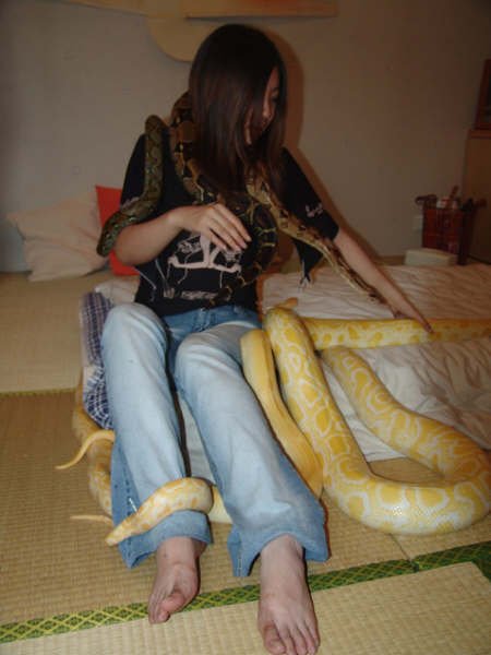 s1.jpg