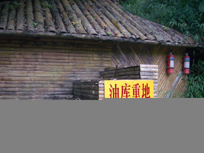 IMGP1339.JPG
