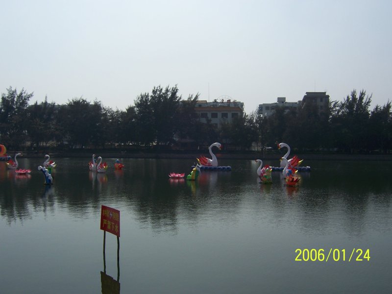 100_0650.jpg