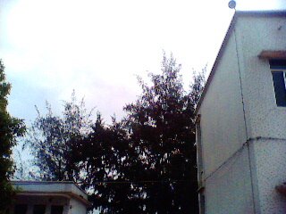 IMG0161A.jpg