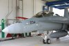 Swiss_FA-18D%20%28e%29_2.jpg