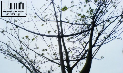 DSC00380.JPG