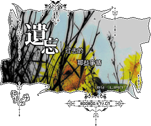 2005111520244165530.gif