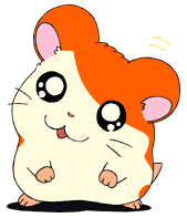05.gif