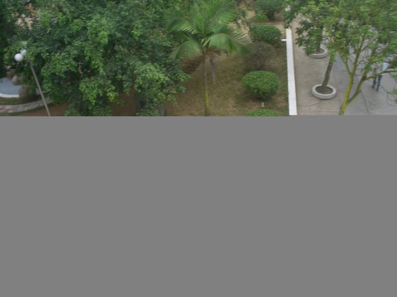 S5022057.JPG