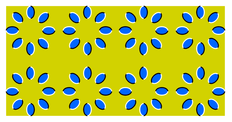 310657349.gif