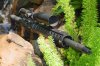 458_SOCOM_SPR_CloseUp.jpg