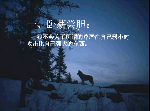2.gif