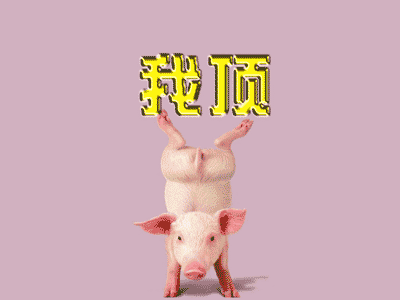 200475212622382.gif