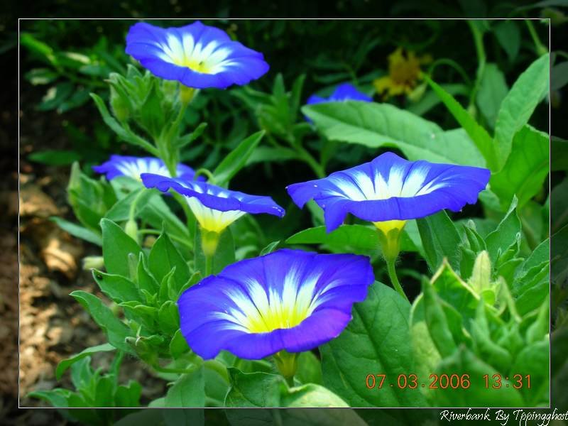 DSCN0534.JPG