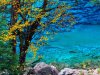 Fengjin_JiuZhaigou_01_003.jpg