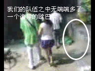 missed.gif