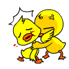 32_40328_35a0668401f5f9d.gif